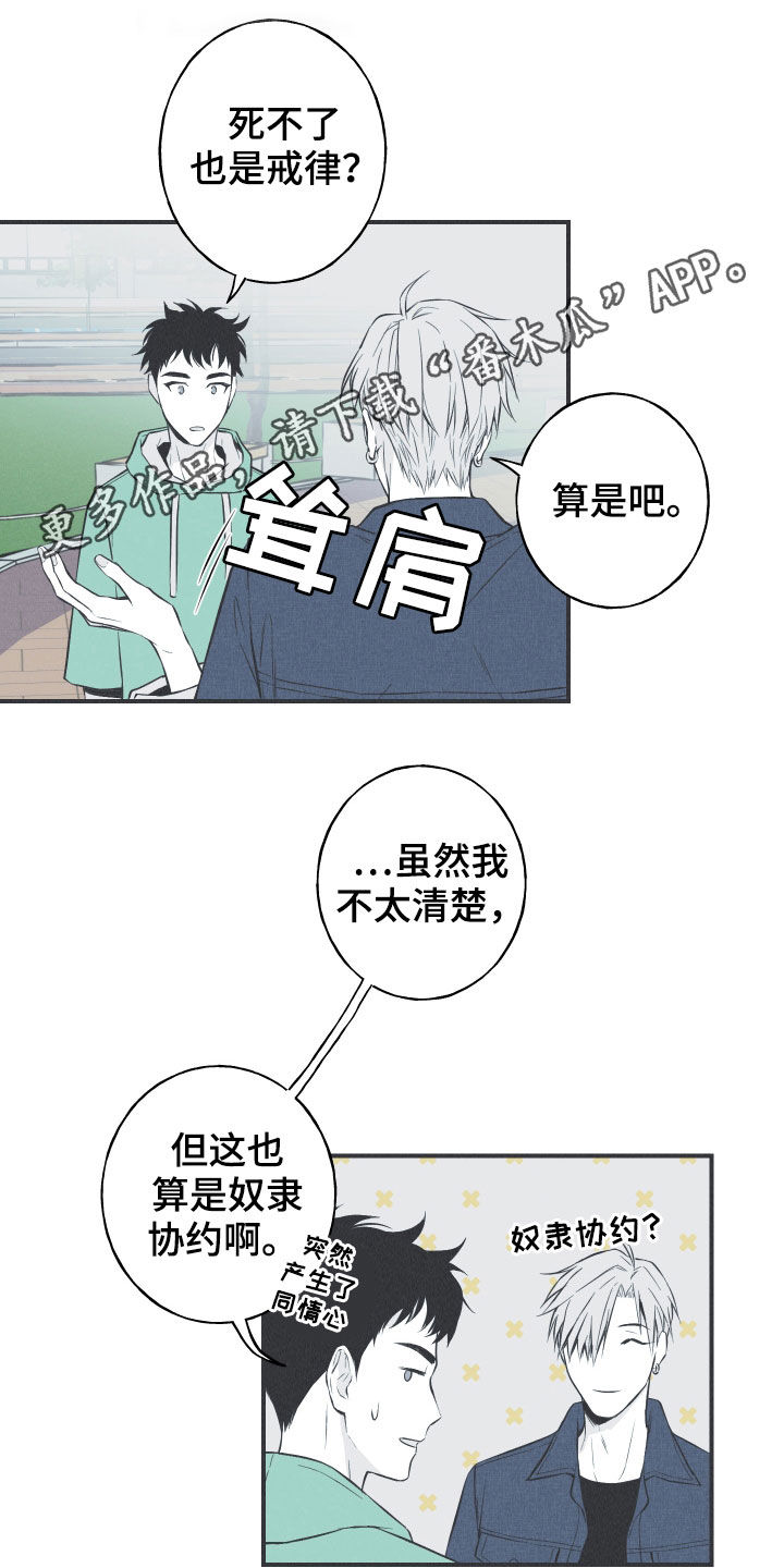 第30章：填补空缺0