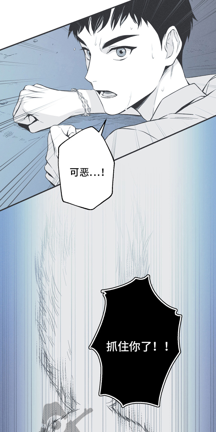 第15章：召唤11