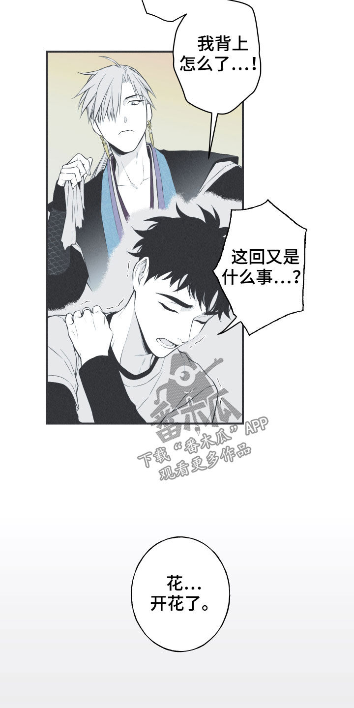 第26章：莲花盛开27