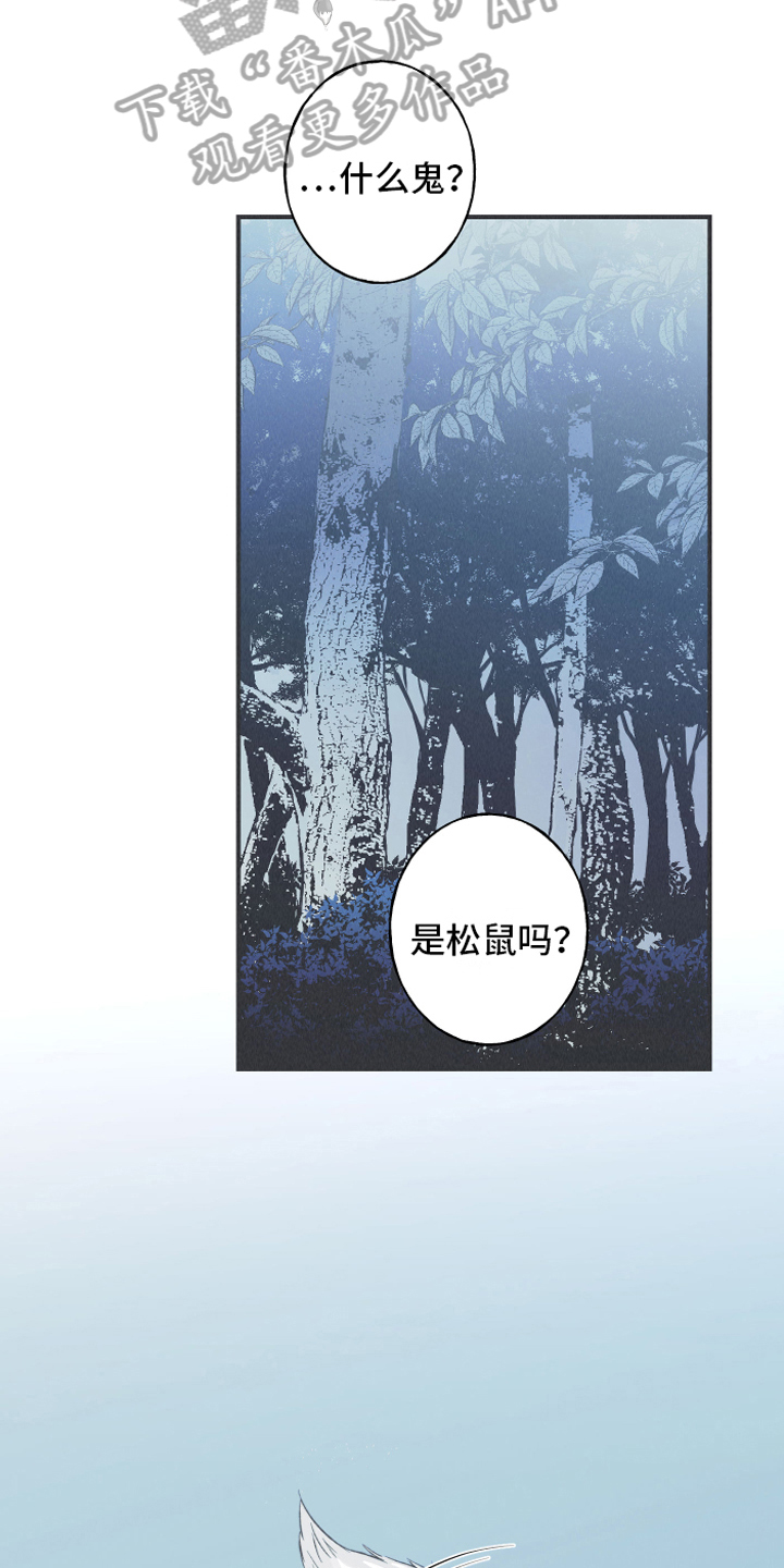 第13章：狐狸15