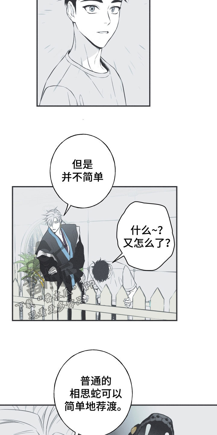 第56章：缓解相思（第一季完结）7