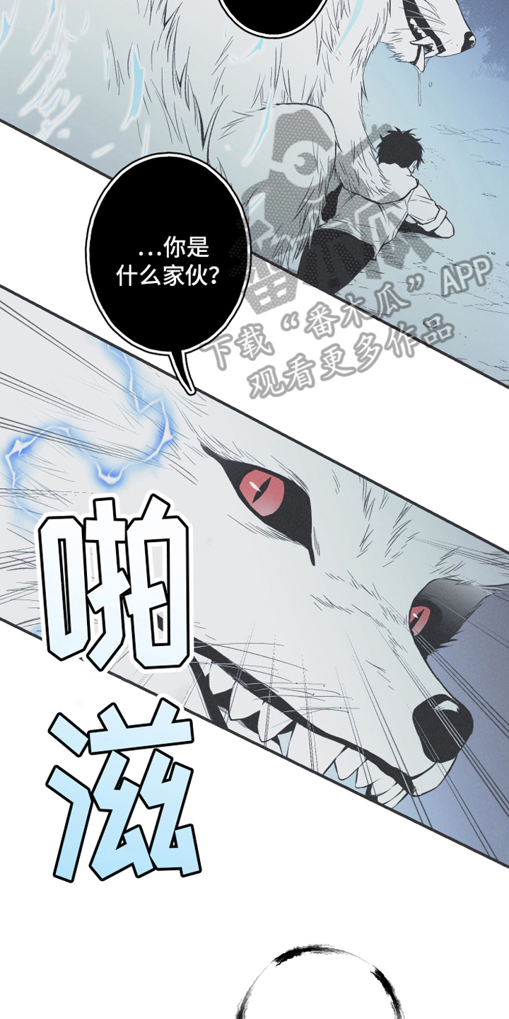 第15章：召唤21
