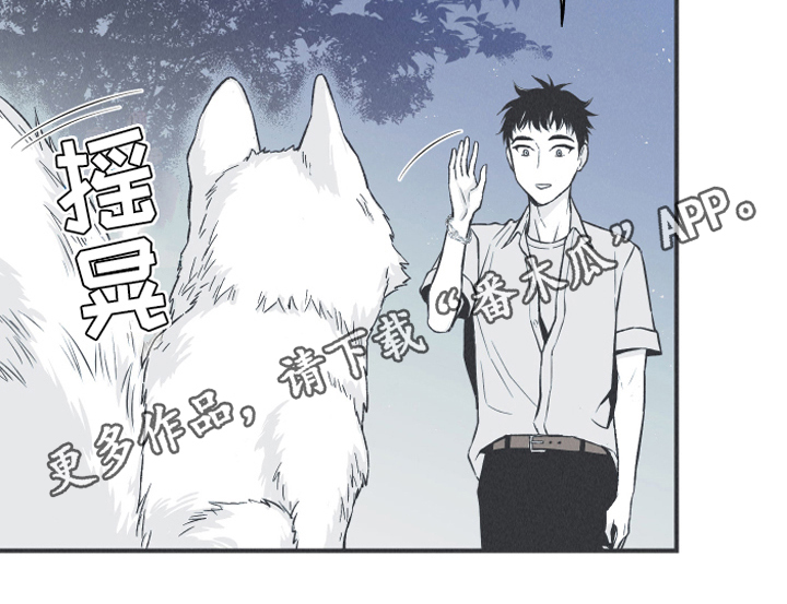 第13章：狐狸20