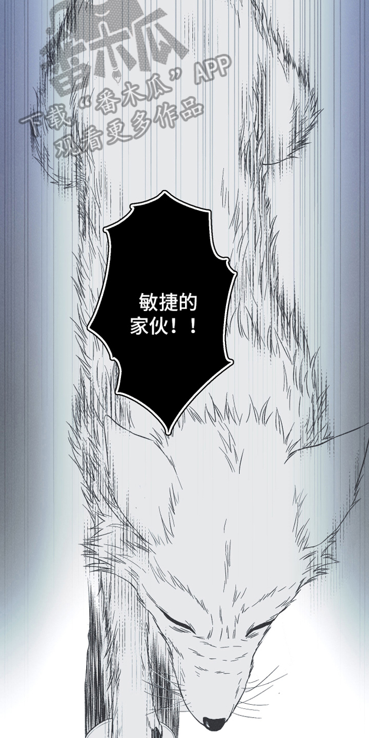 第15章：召唤12