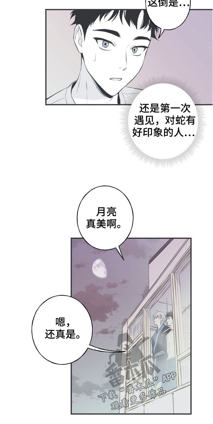 第28章：戒律12