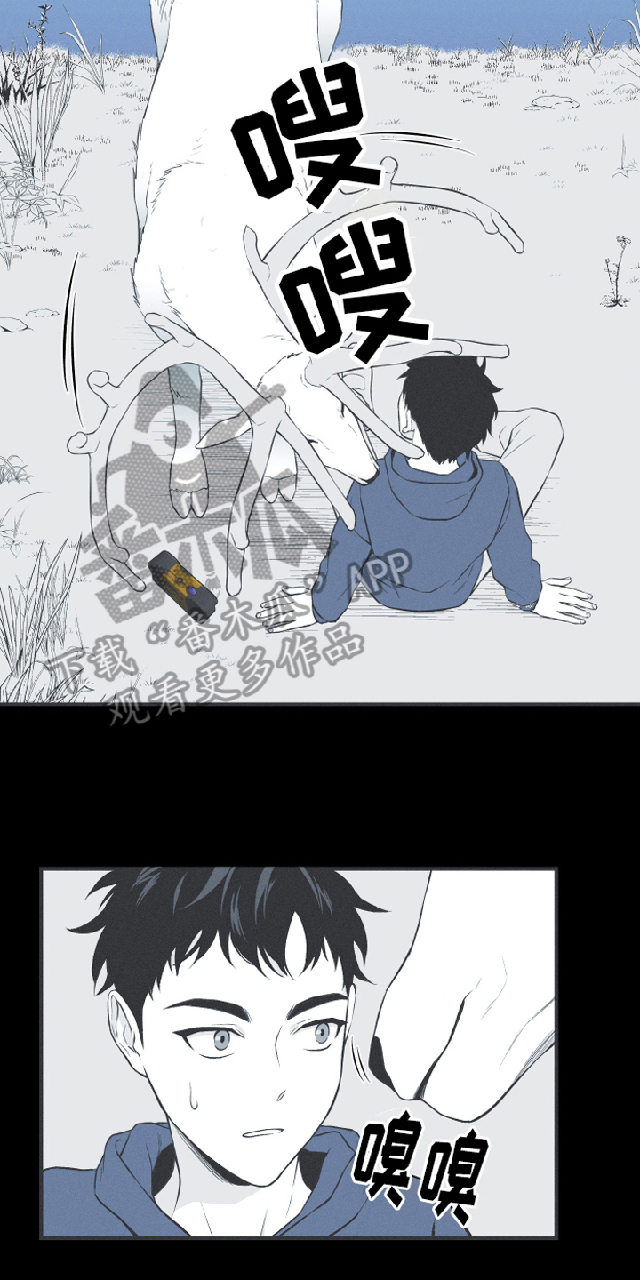 第18章：鹿妖9