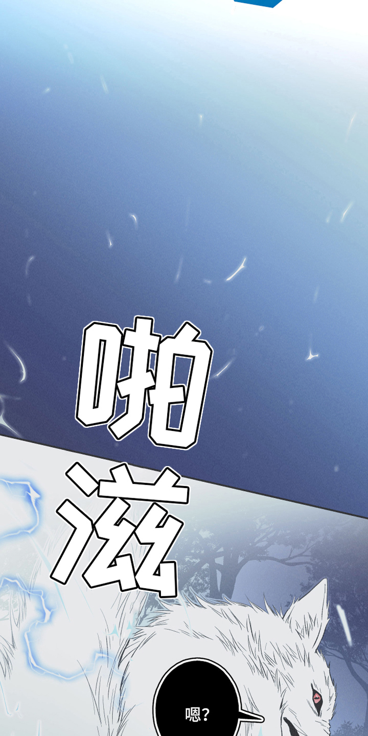 第15章：召唤20
