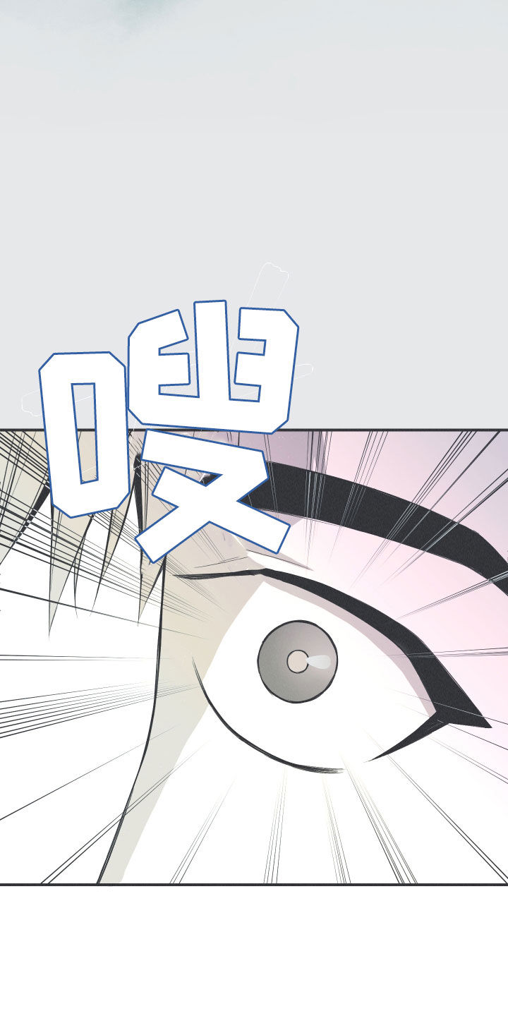 第26章：莲花盛开22