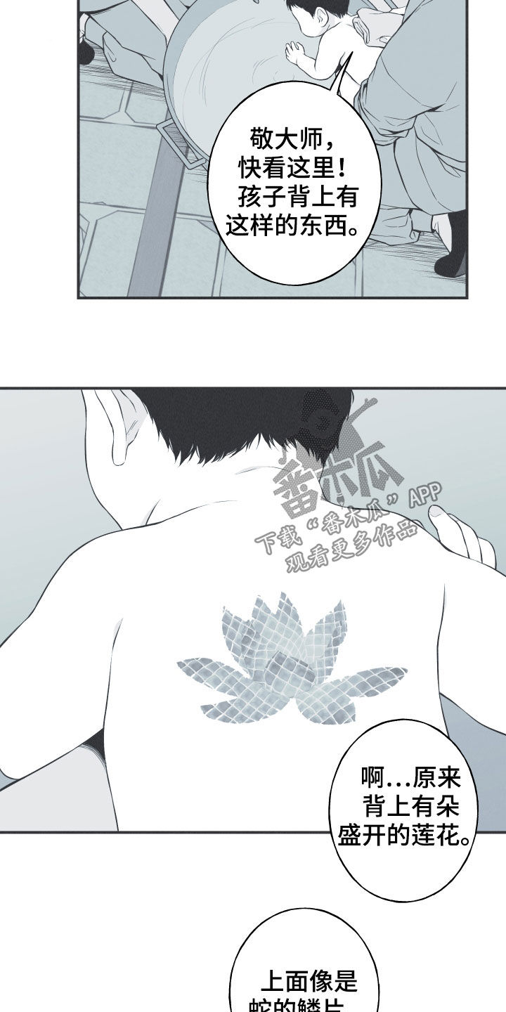 第26章：莲花盛开12
