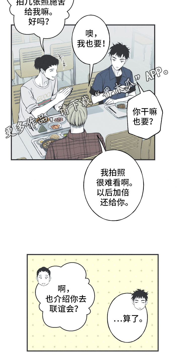 第6章：最终的结果19