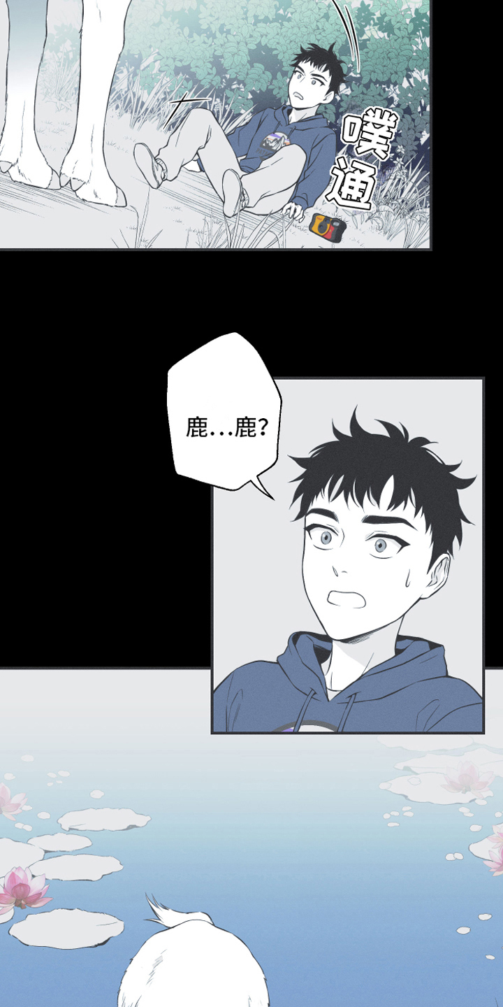第18章：鹿妖8