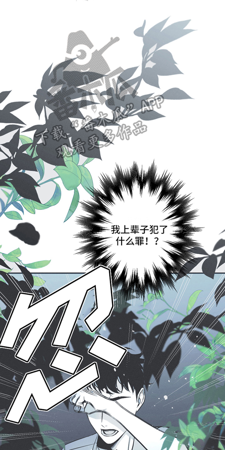第14章：逃跑16
