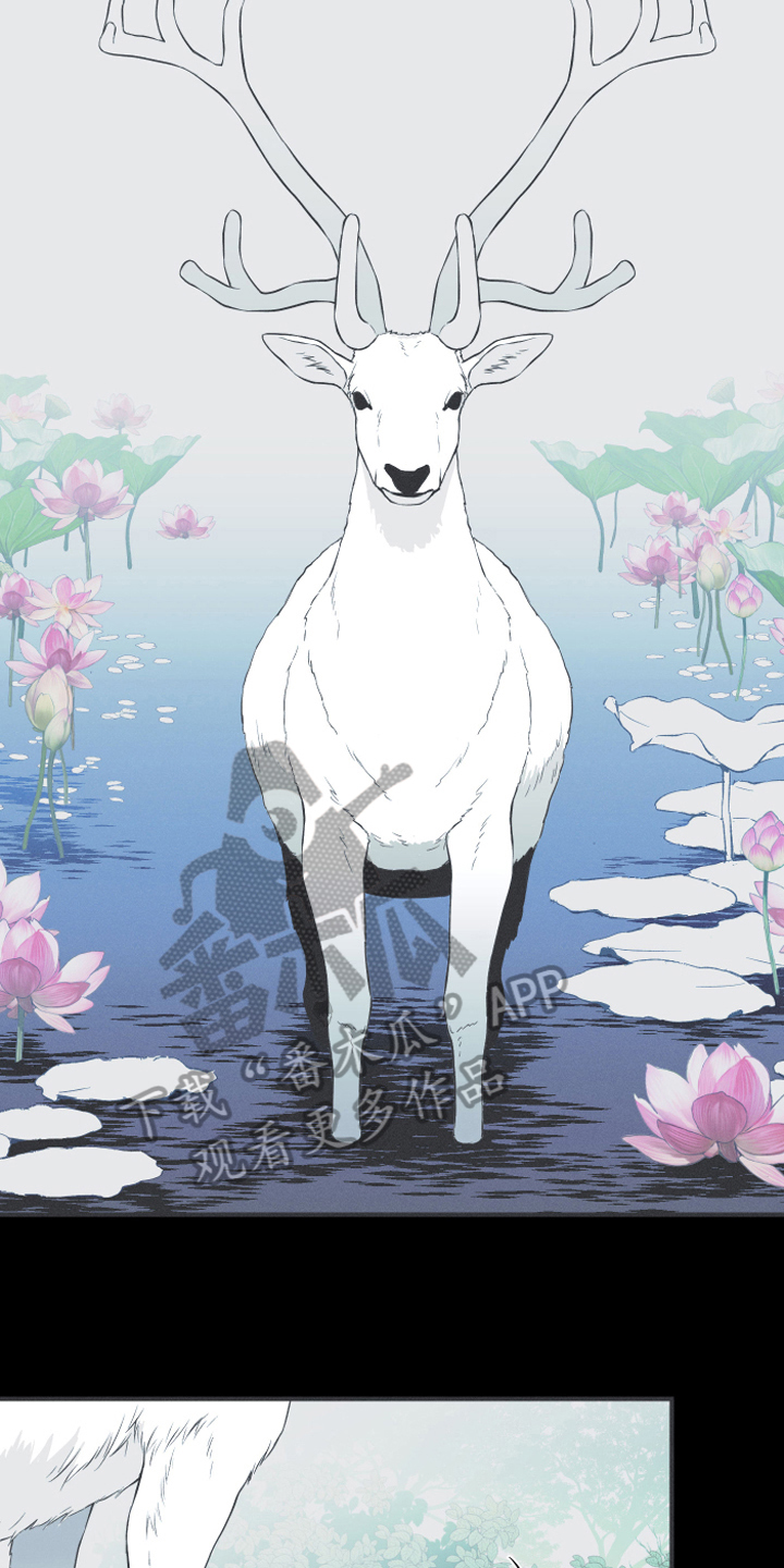 第18章：鹿妖7