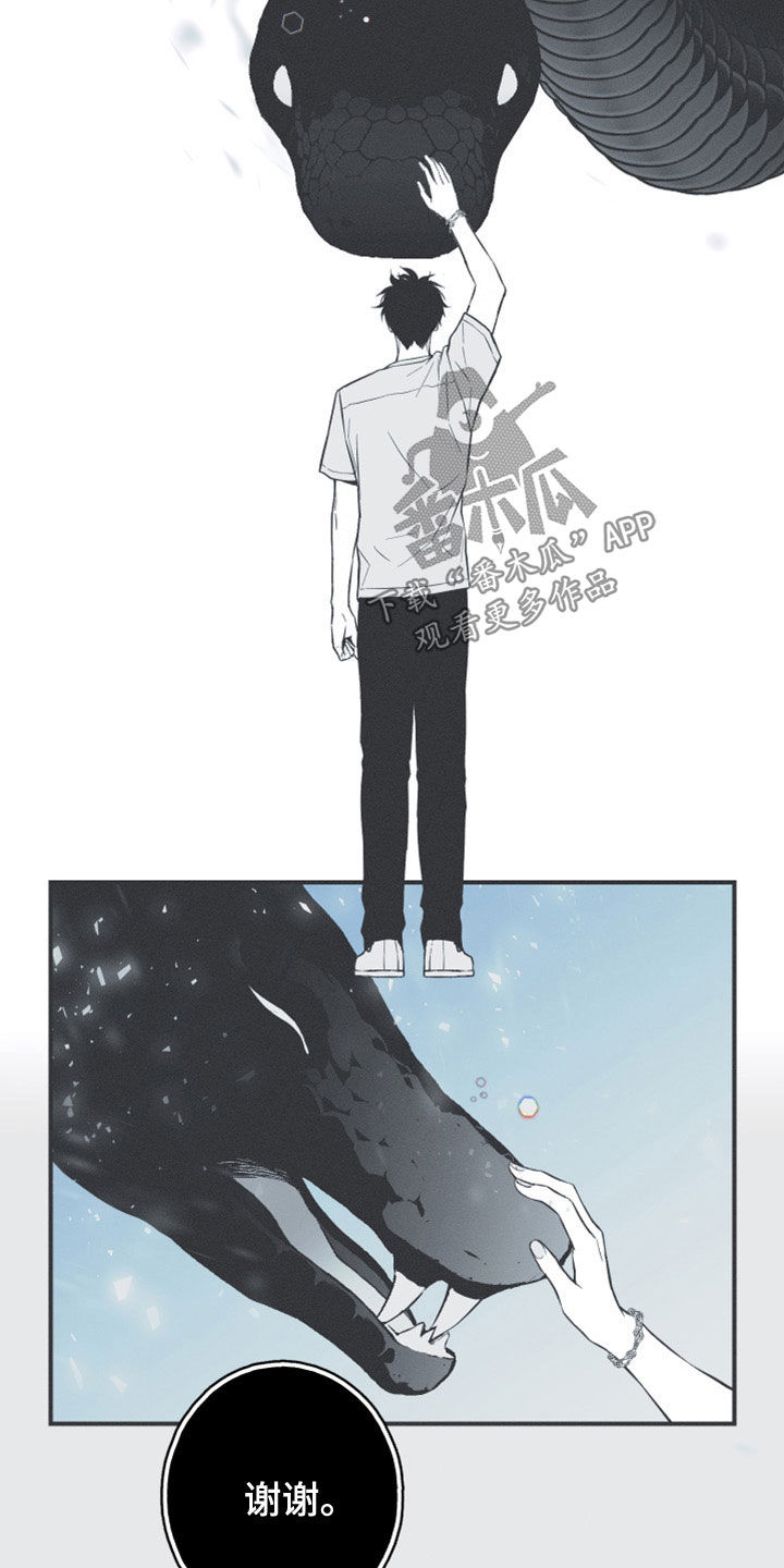 第51章：以后不会难过了22