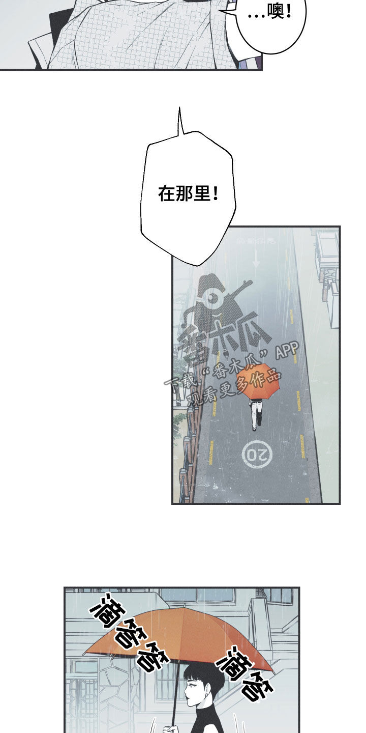 第34章：跟踪14