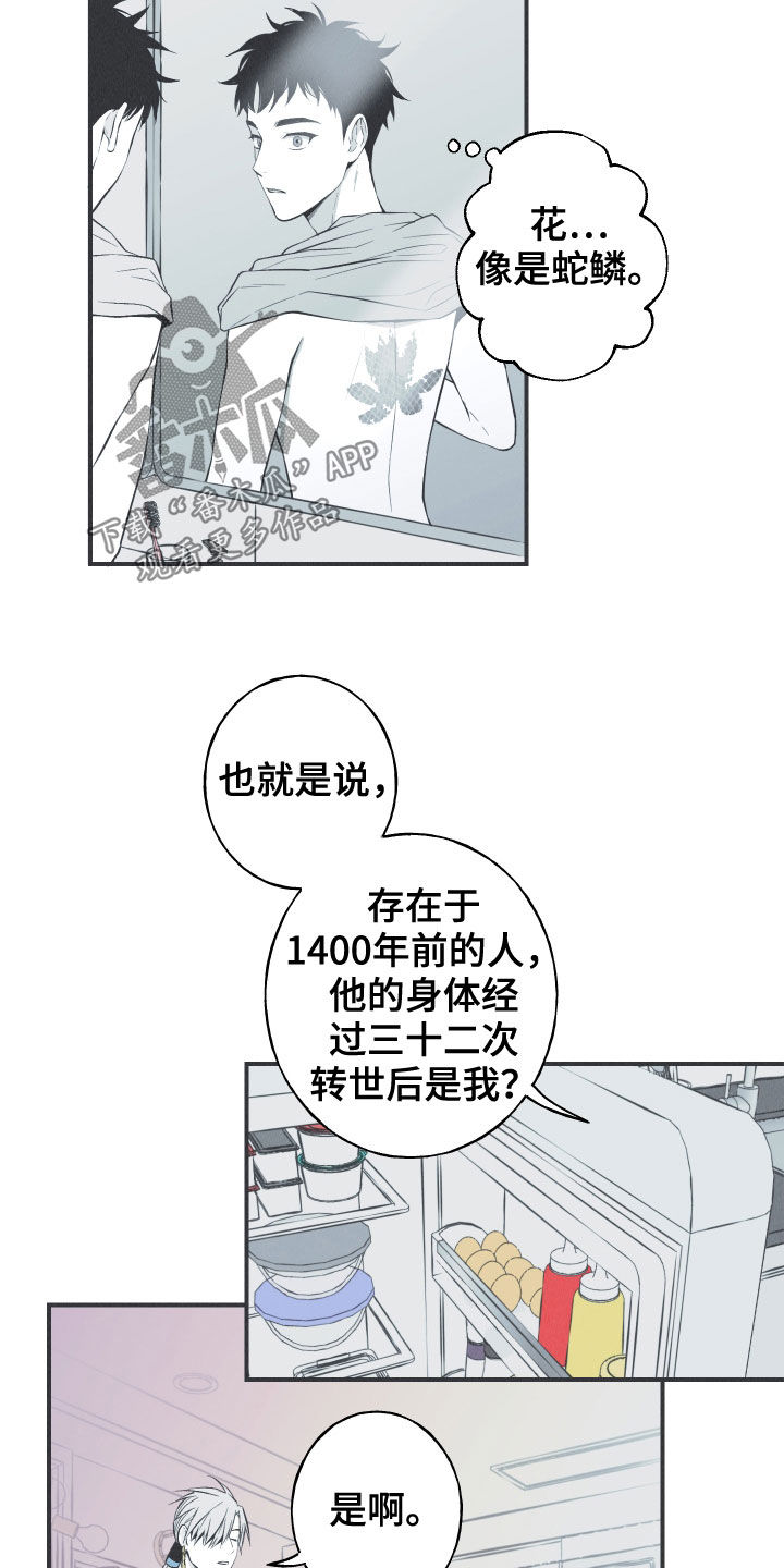 第27章：转世体9
