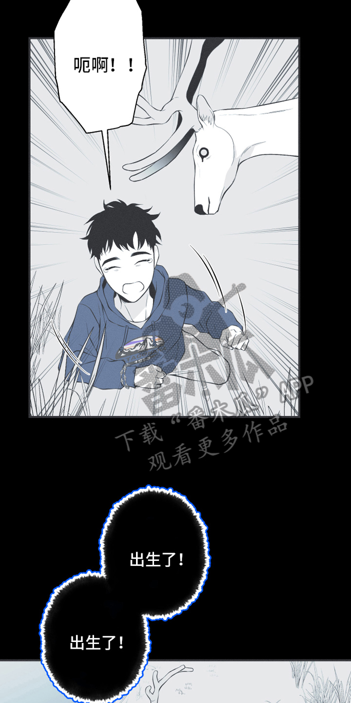 第18章：鹿妖11