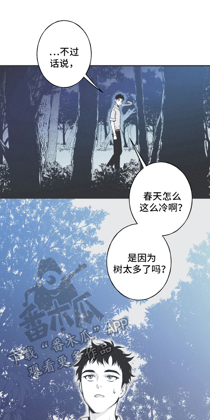 第13章：狐狸12