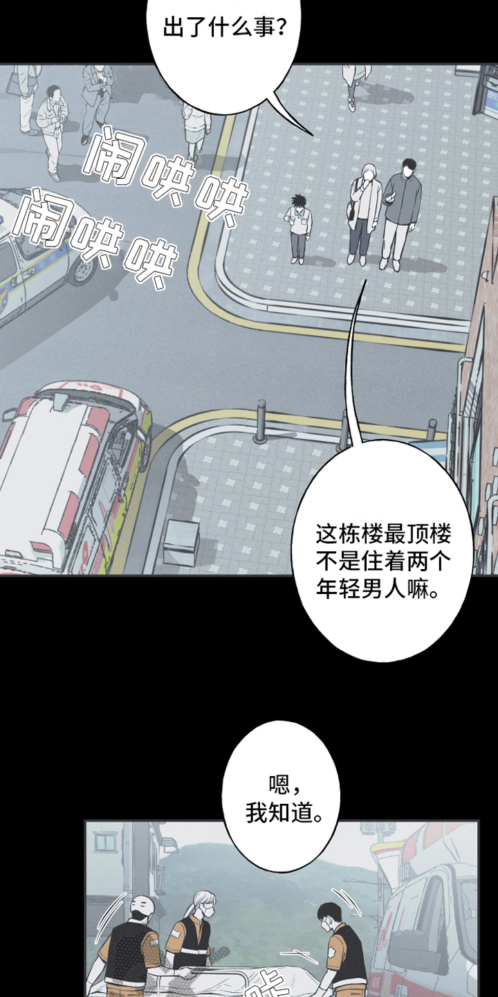 第6章：最终的结果11