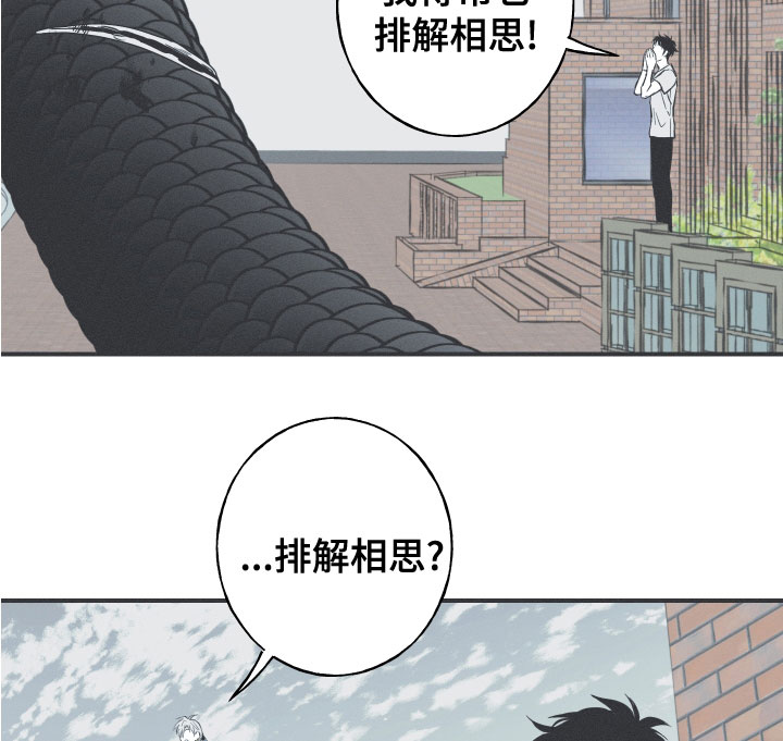 第48章：排解相思17