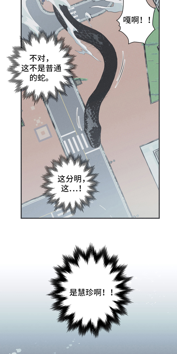第21章：大蛇14