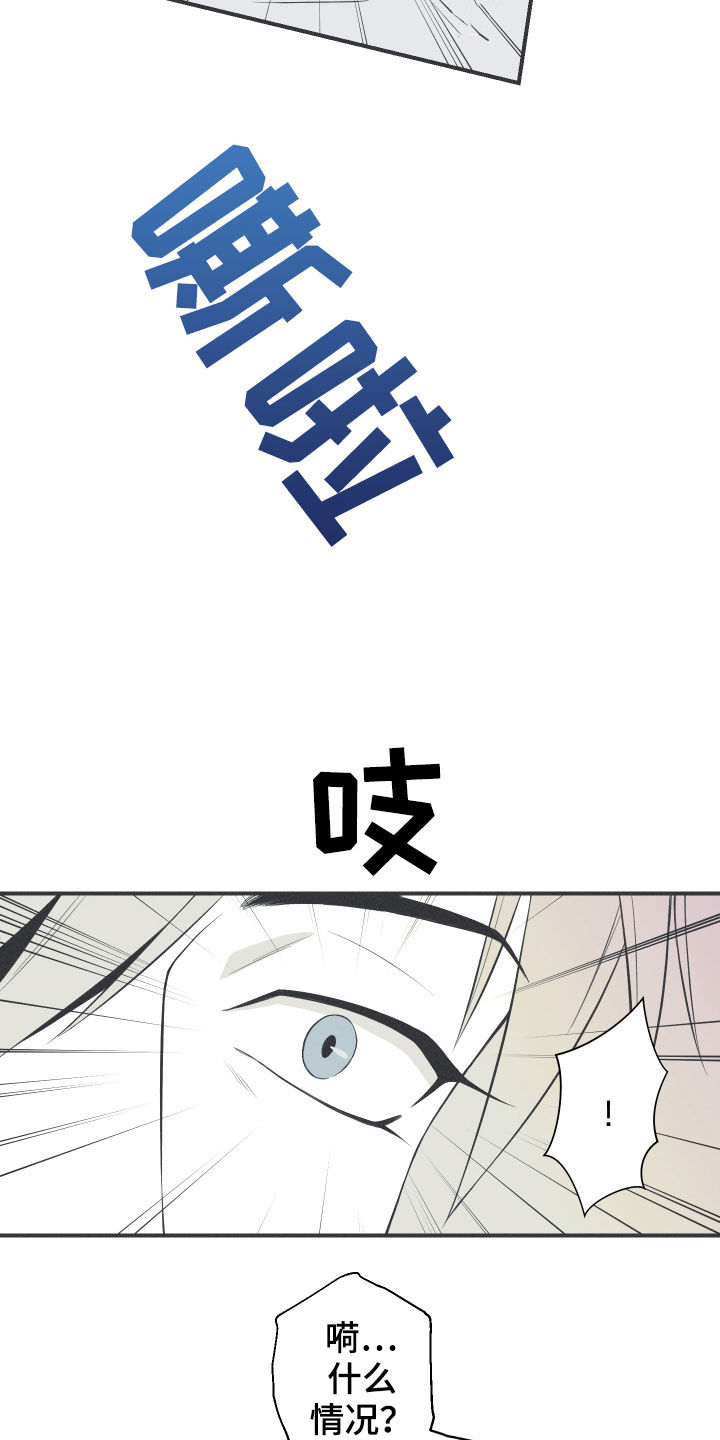 第26章：莲花盛开26