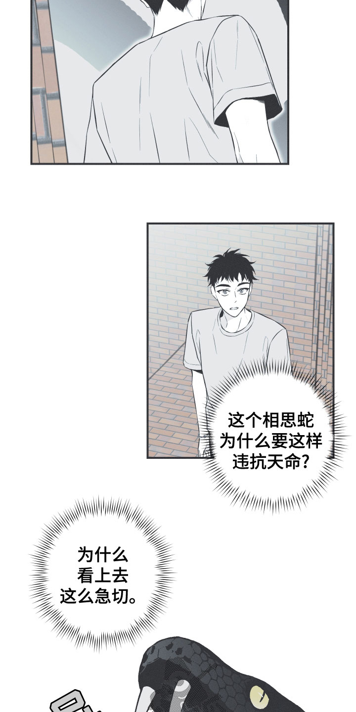 第48章：排解相思12