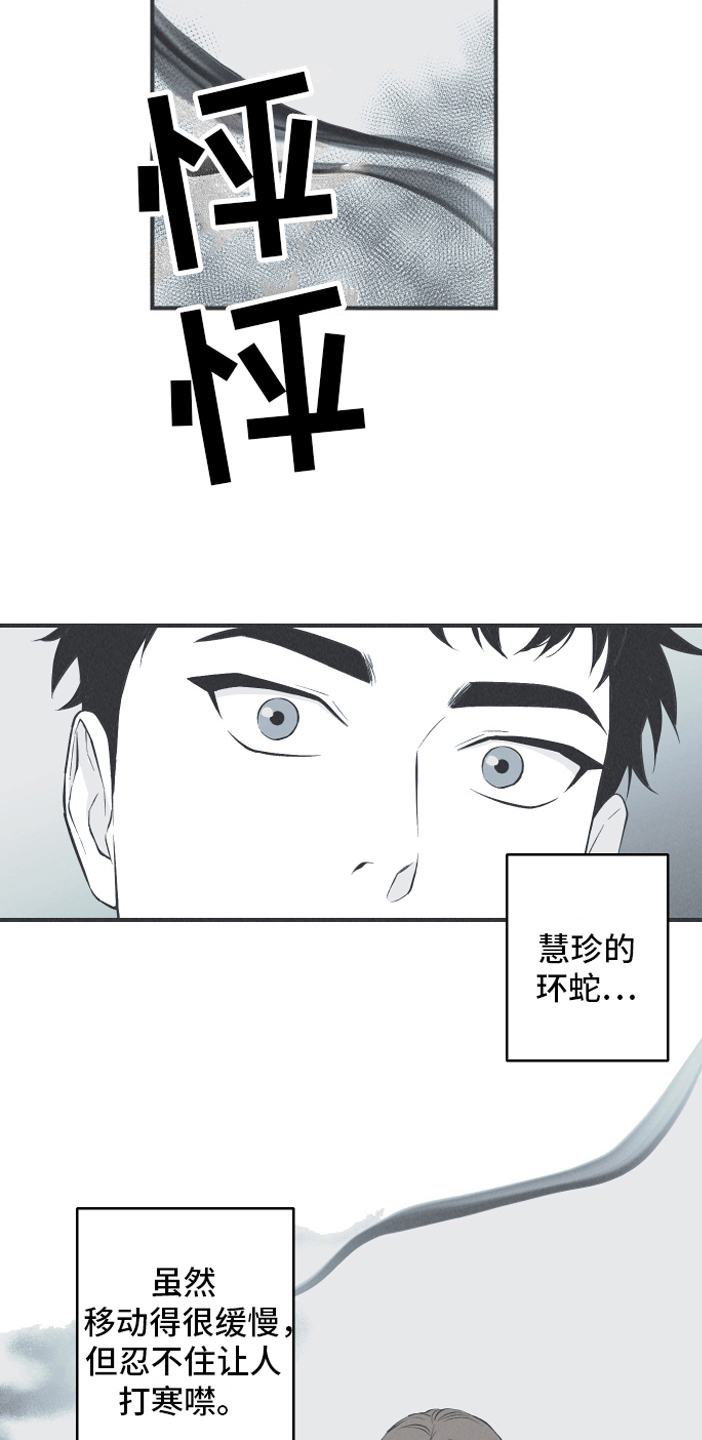第19章：担忧13