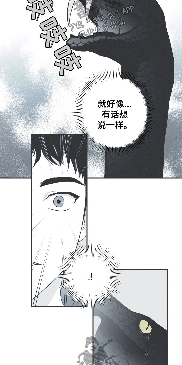第48章：排解相思13