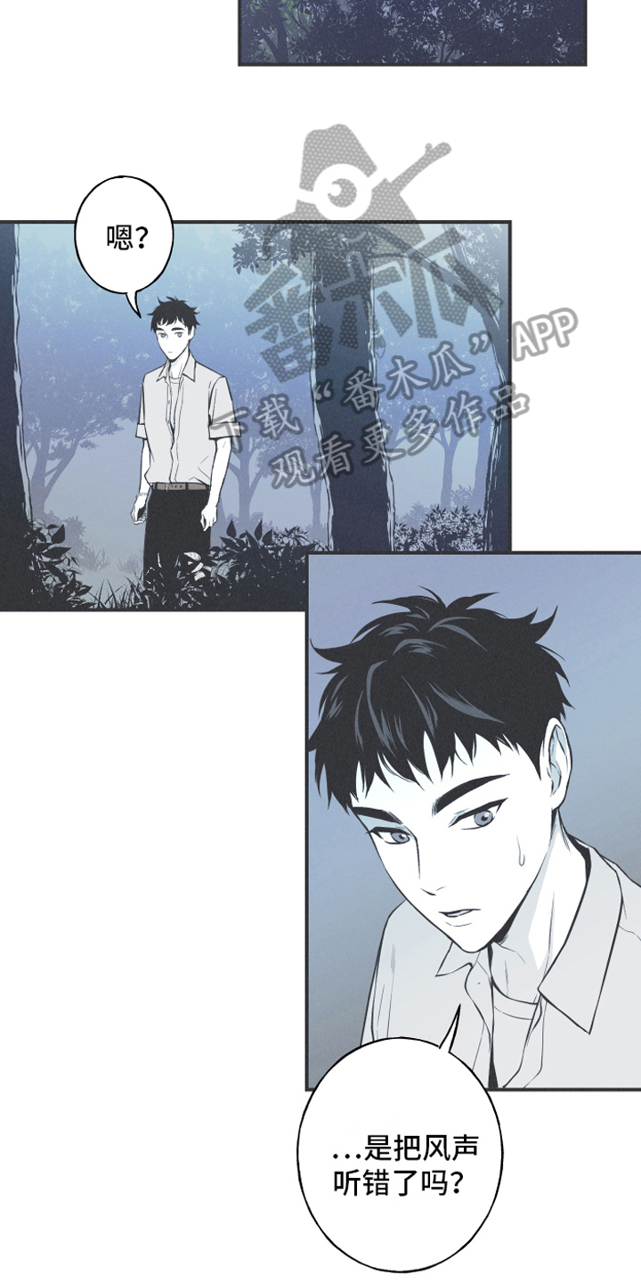 第13章：狐狸11