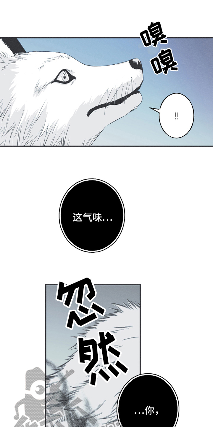 第14章：逃跑0