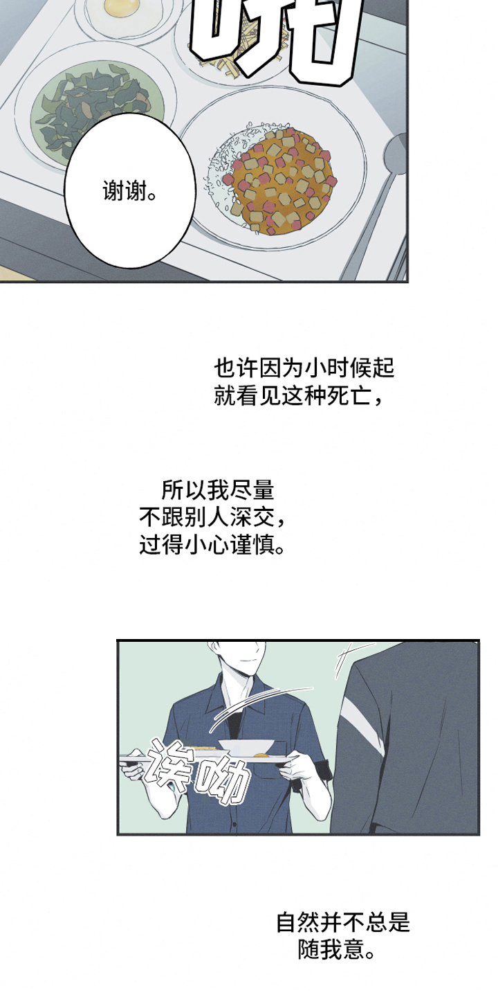 第6章：最终的结果17