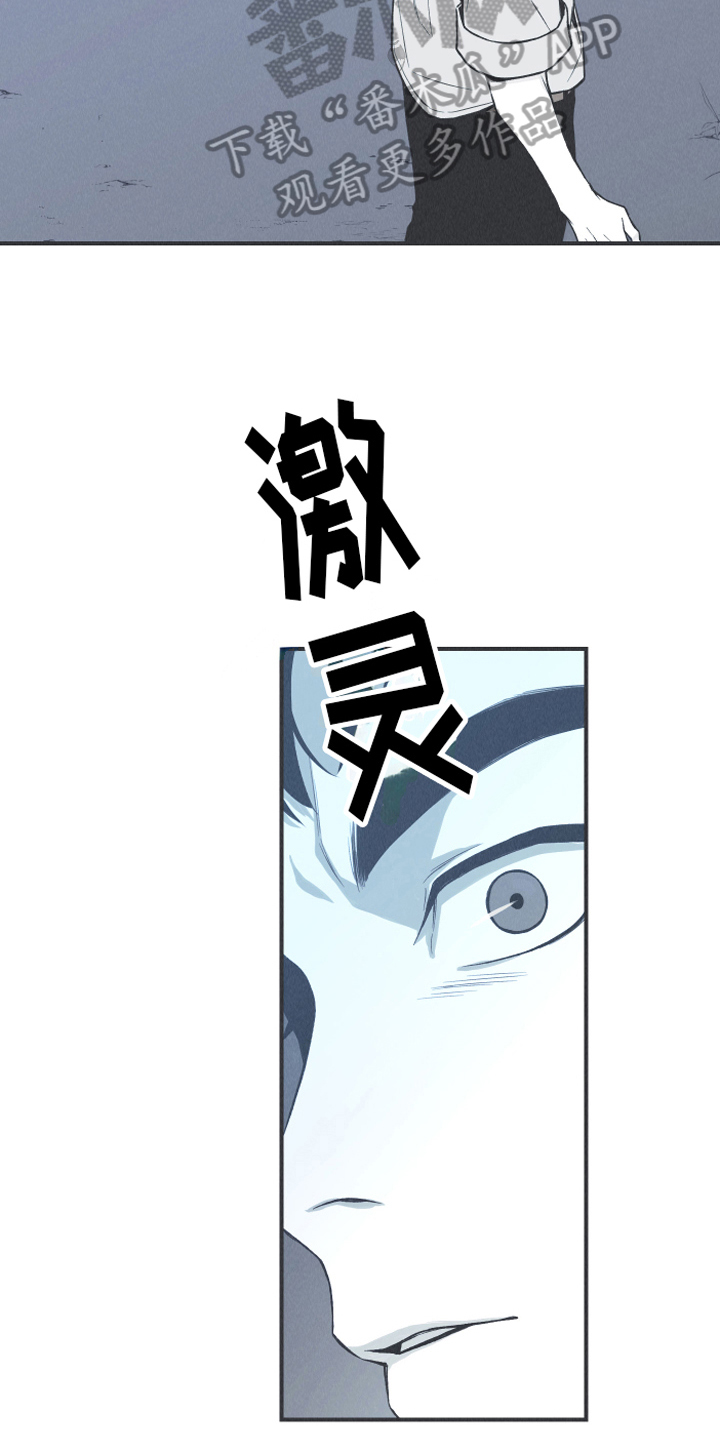 第13章：狐狸17