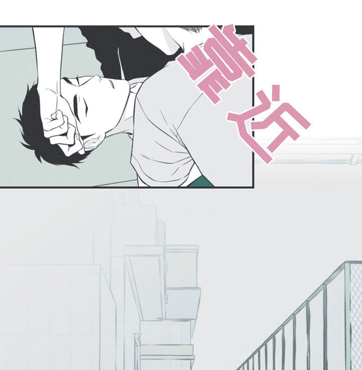 第51章：以后不会难过了17