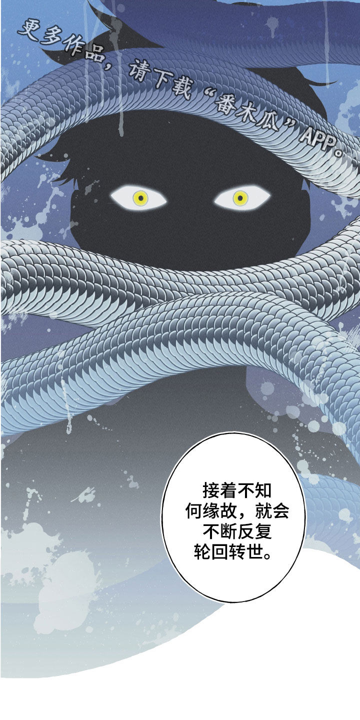 第27章：转世体18
