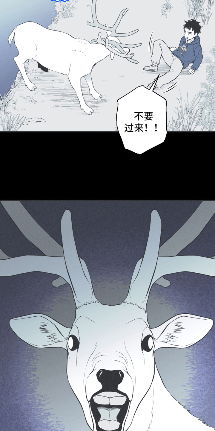 第18章：鹿妖12