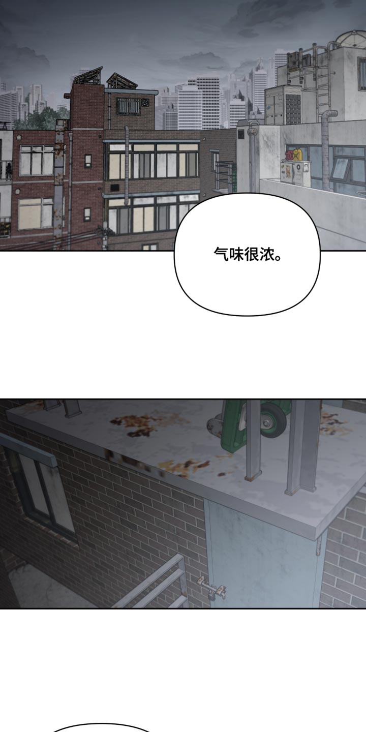 第74章：找到了13