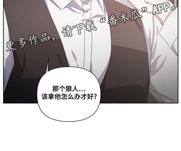 第26章：相似的气味14