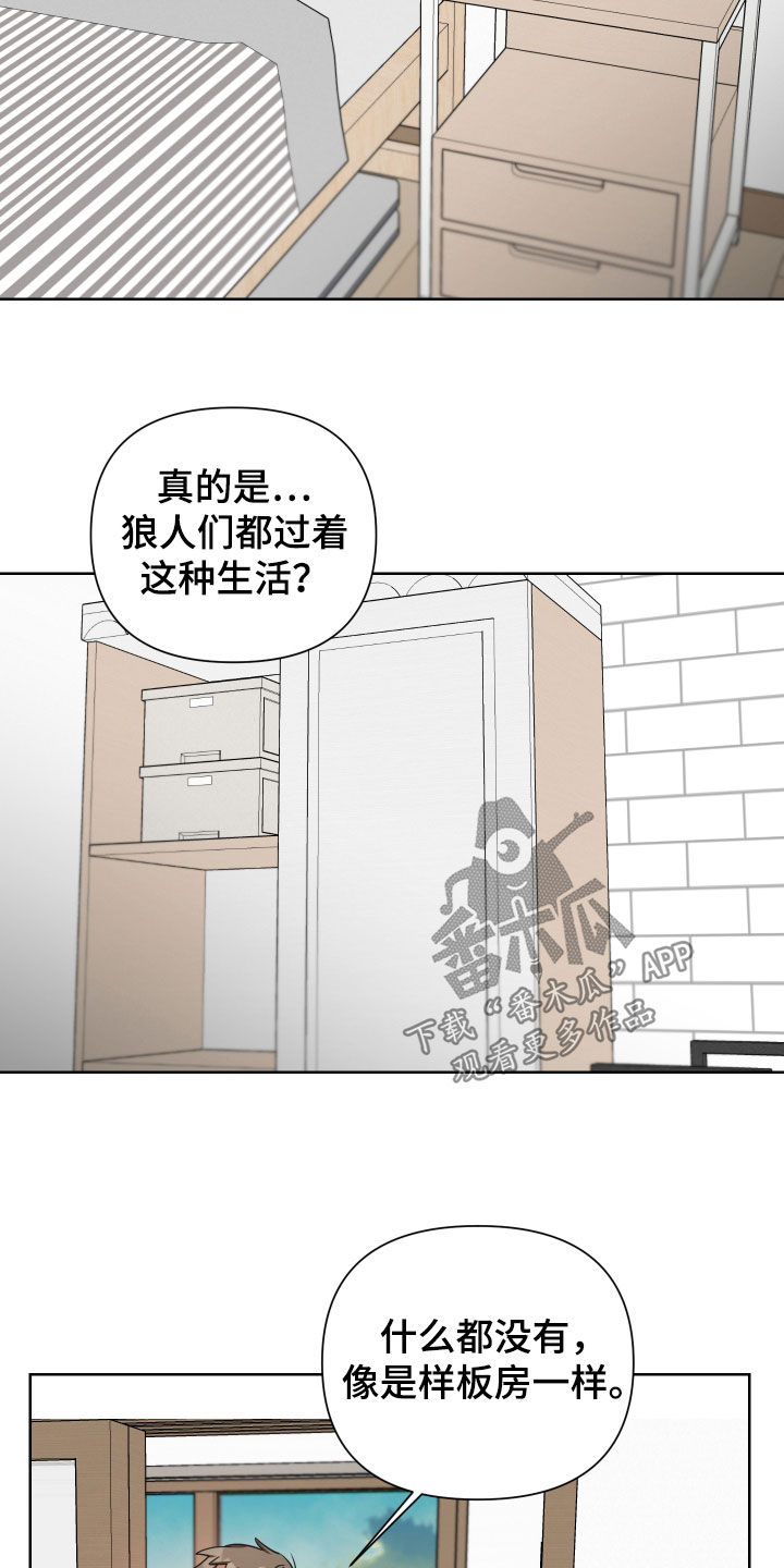 第53章：真的变了16