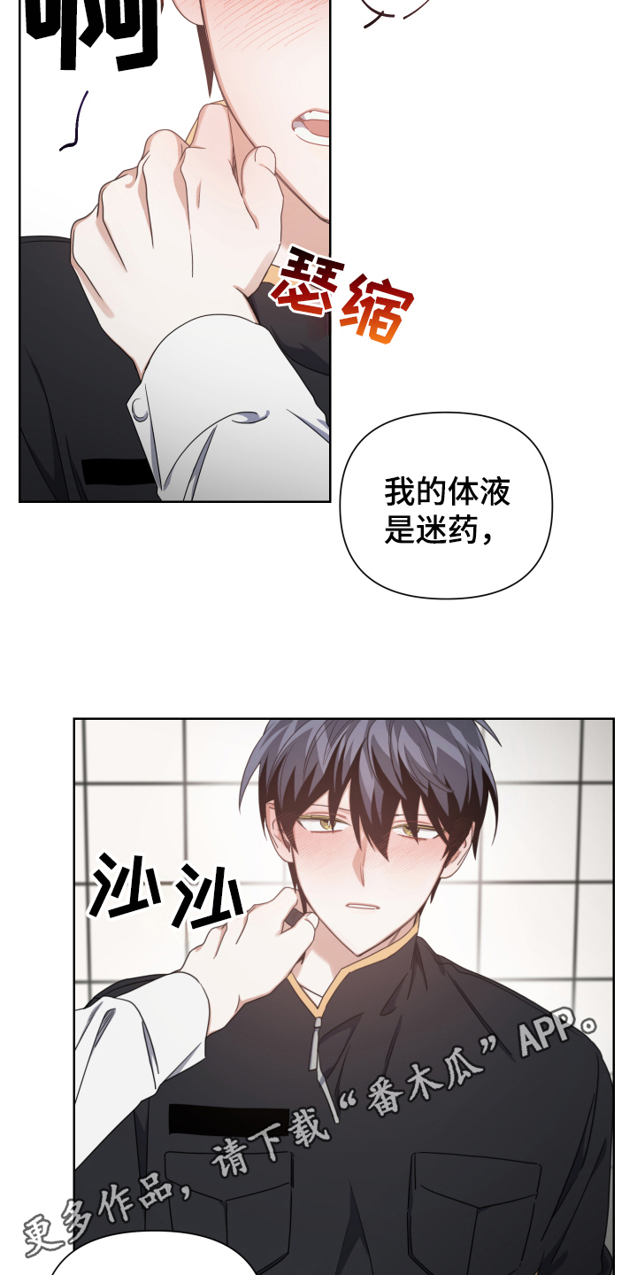 第11章：副作用18