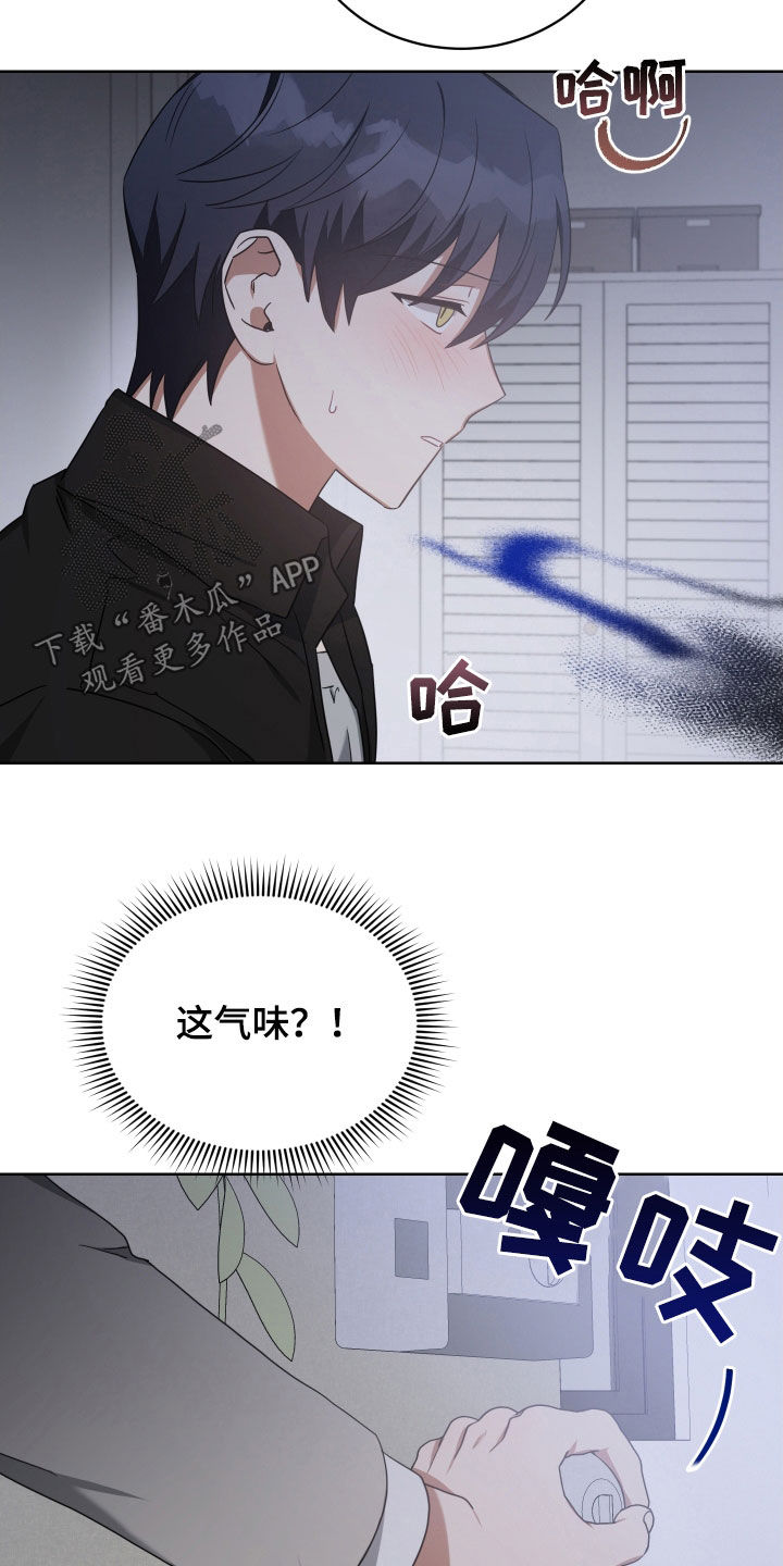 第66章：回来吧18