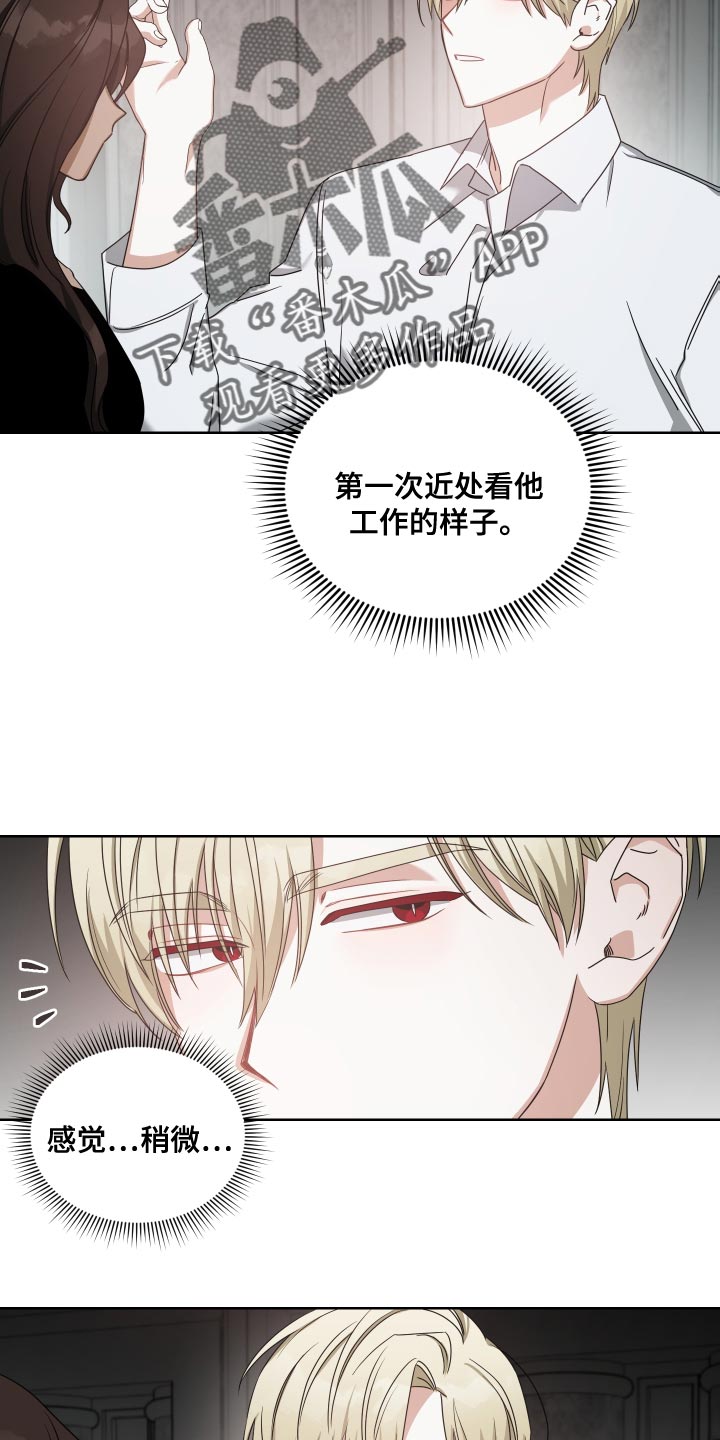 第39章：不错的人选15