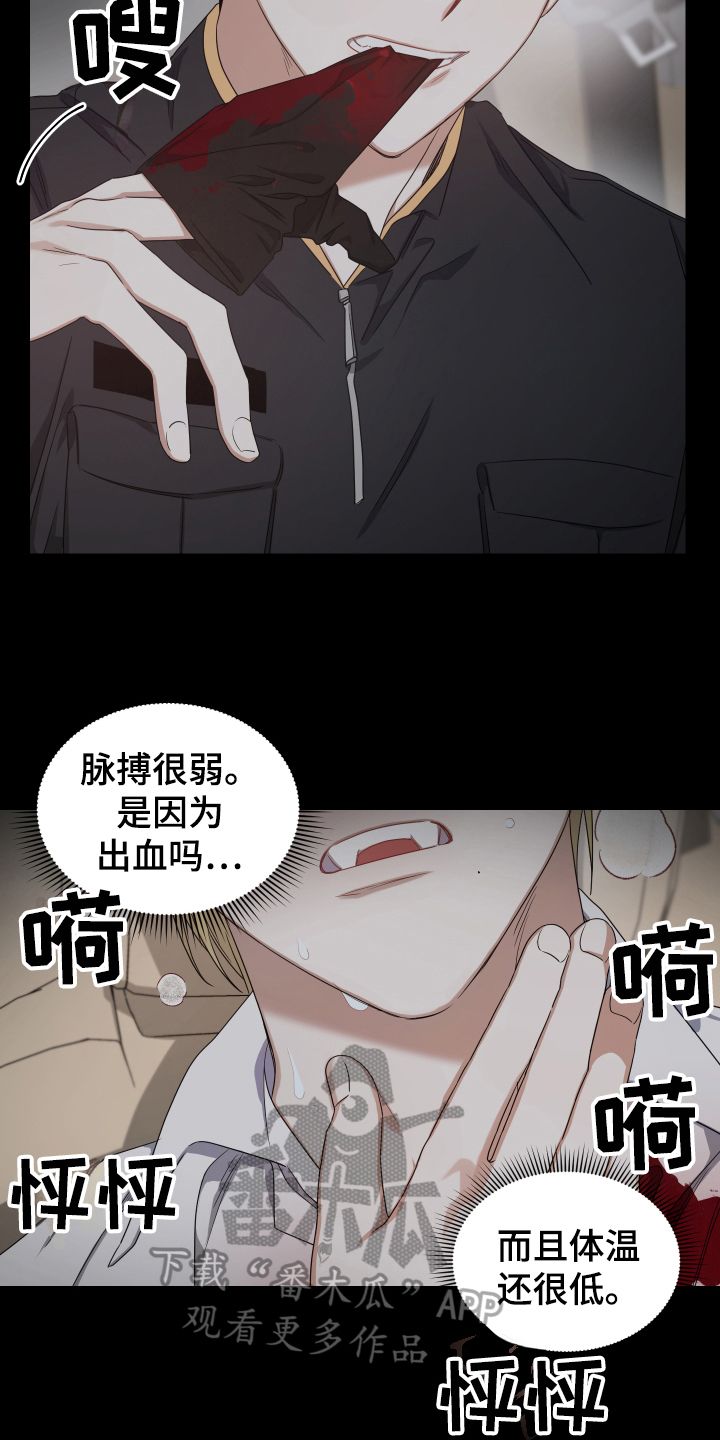 第10章：开始拍摄14