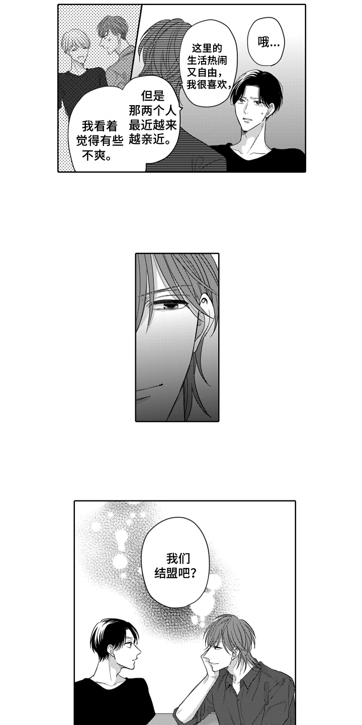 第4章：结盟8