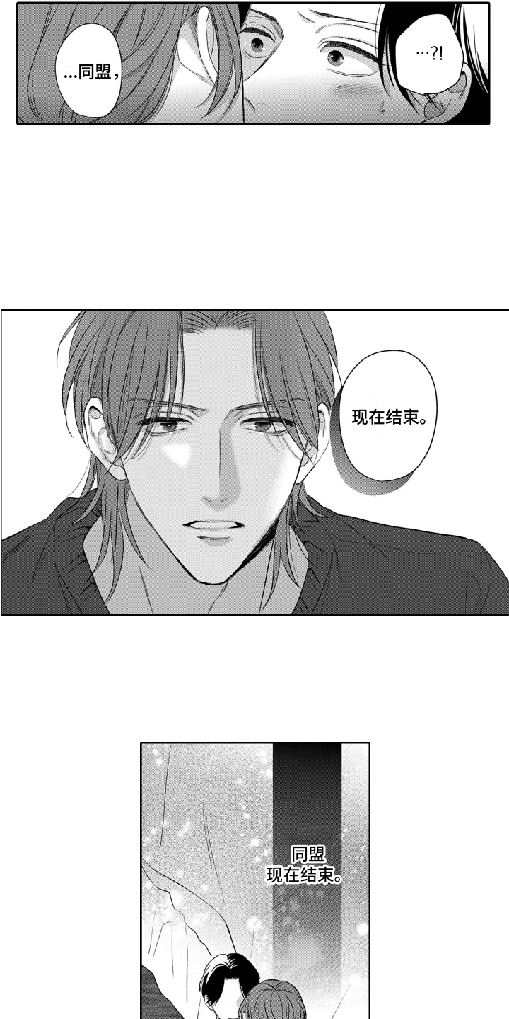 第16章：同盟结束8