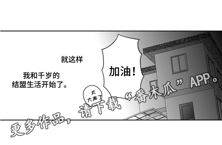 第4章：结盟12