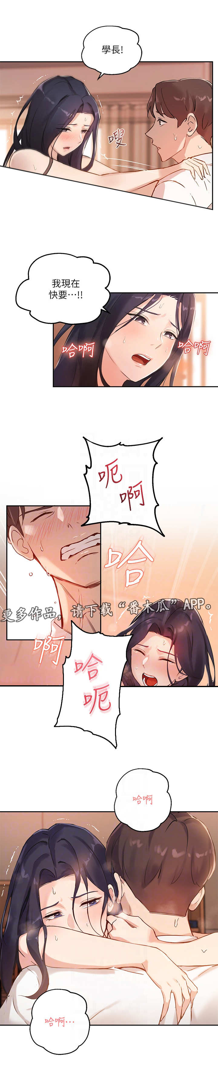 第14章：安全装置4