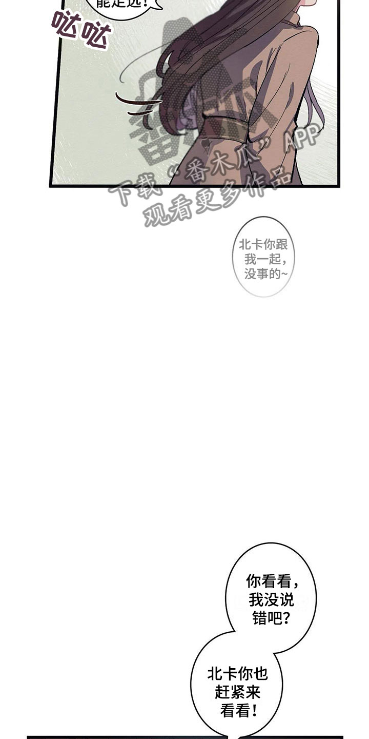 第8章：迷路7