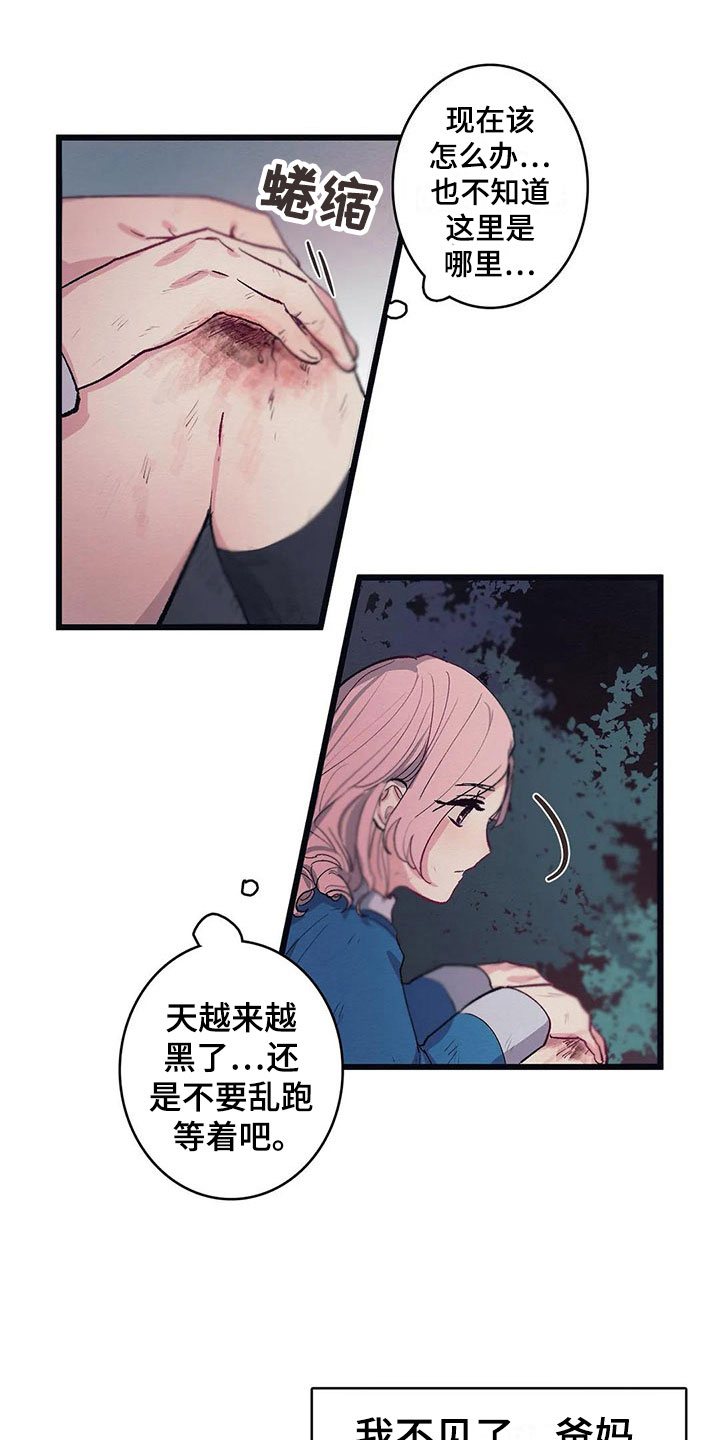 第8章：迷路17