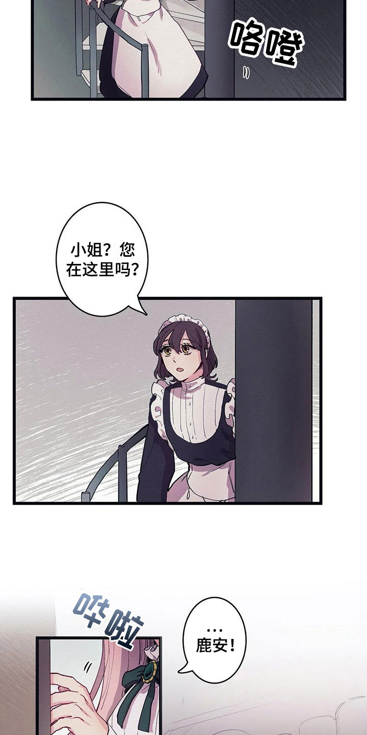 第11章：气味5